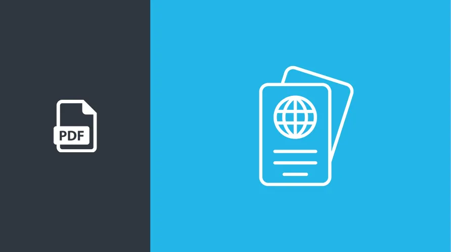 Visa options 