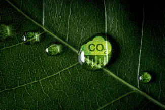 C02 graphic on leaf