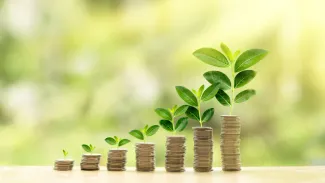 Plants growing from coin