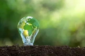 lightbulb in the ground