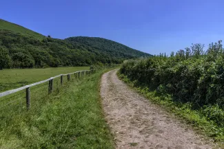 Rural path