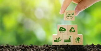 Net zero