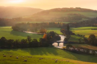Rural landscape at sunset