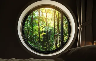 Circular window looking out onto forest